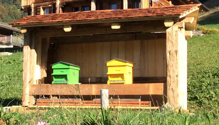 Conception d'un rucher