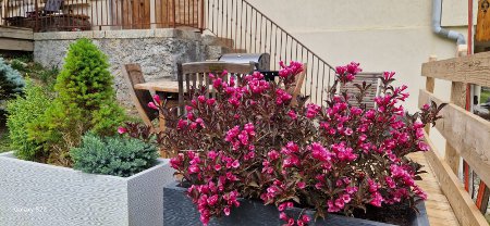 Chalet �t� Marmotte